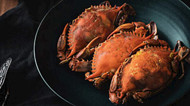 В алтайской говядине обнаружили остатки антибиотиков и другие нарушения