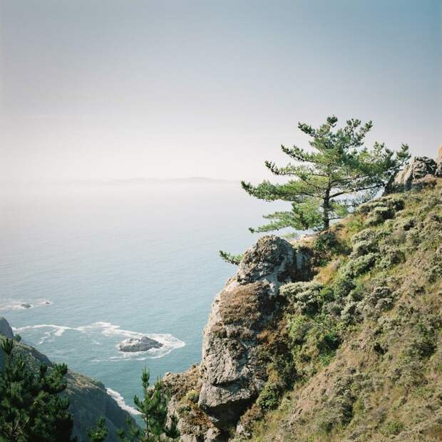 Умиротворяющие пейзажи живописного полуострова на Тихоокеанском побережье США point reyes, калифорния, природа, фотография