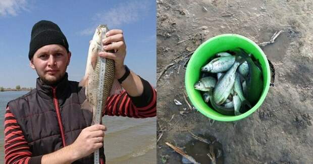 Астраханец поймал огромную воблу и поделился фото трофея Астрахань, вк, вобла, вот такая рыба, интересно, рыбалка, соцсети