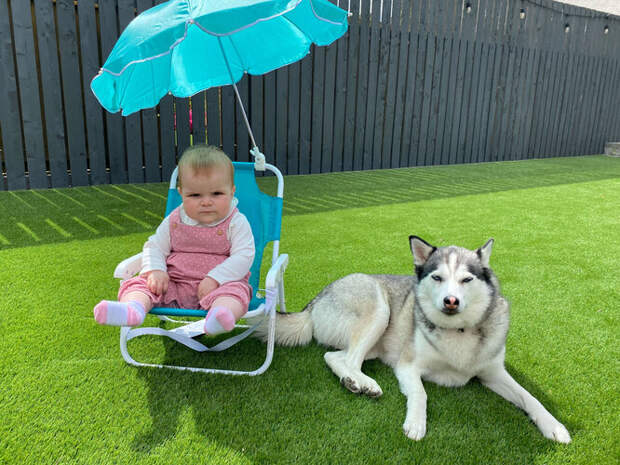 Собака и ребенок на даче фото
