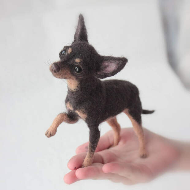 PMrBXFjWKIo (700x700, 170Kb)