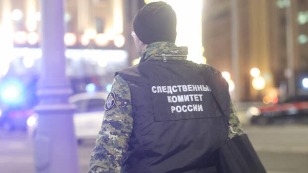 Надежда жива: появились новые подробности исчезновения девочки в Смоленске