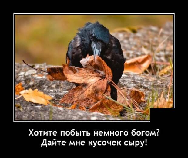 Демотиваторы 8 декабря 2021 года