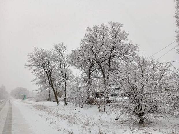 Зима вернулась: Приморский край снова заметает снегом