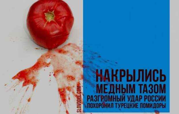 НАКРЫЛИСЬ МЕДНЫМ ТАЗОМ: РАЗГРОМНЫЙ УДАР РОССИИ ПОХОРОНИЛ ТУРЕЦКИЕ ПОМИДОРЫ