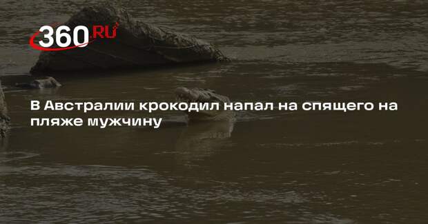 В Австралии крокодил напал на спящего на пляже мужчину
