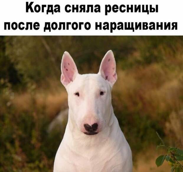 Сняла ресницы )