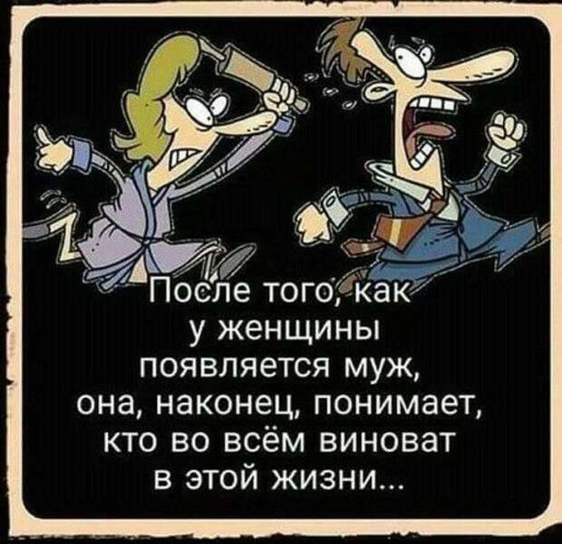 У незамужней женщины во всём виноваты козлы...