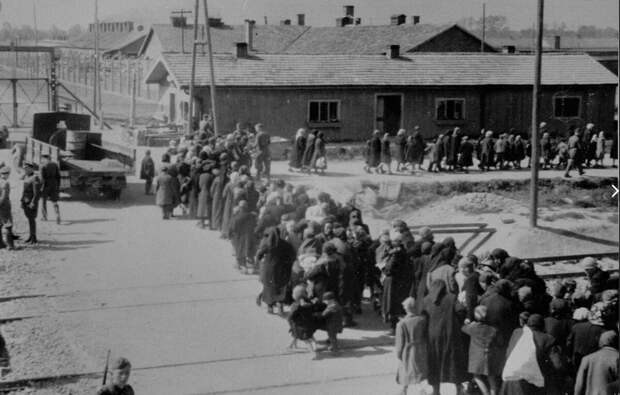 Освенцим .женщины и дети , очередь в газовую камеру. фото из свободного доступа в инете. 