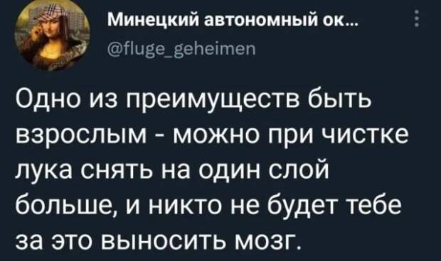 Приколы про взрослую жизнь