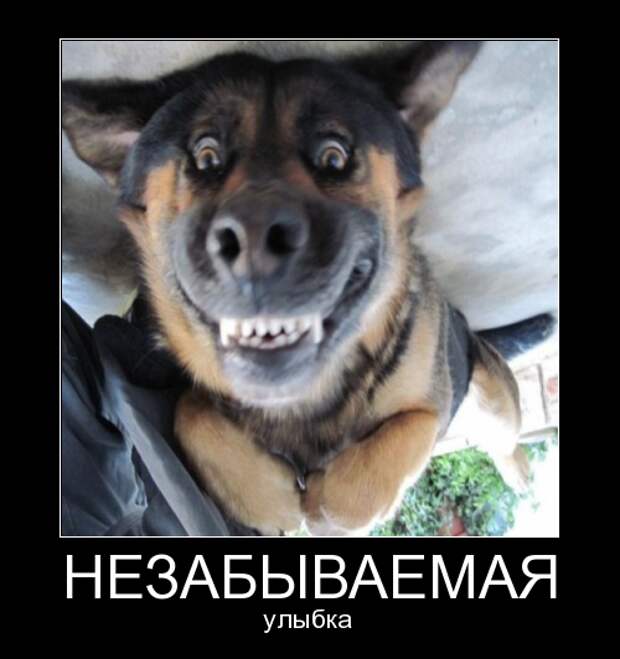 6dc5ddb54d84e1af4a70de4e365c45f7