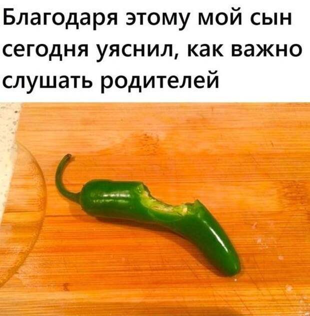 Смешные до слез и прикольные картинки