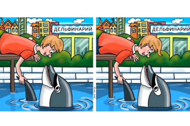 Испытание на внимательность: 11 отличий на картинке с мальчиком и дельфином