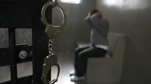 Полицейского обвинили в хищении деревьев ценных пород на 1 млн в КЧР