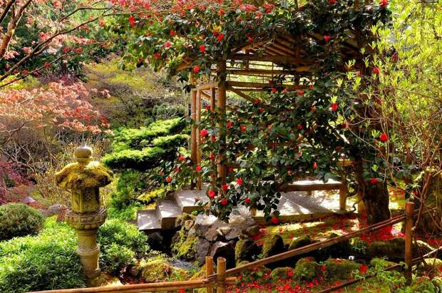 Японский сад Бутчартов