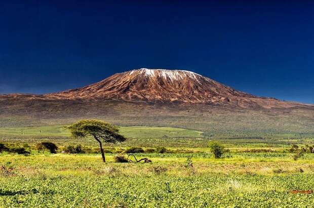 Вулкан Килиманджаро. Танзания. Африка. Фото