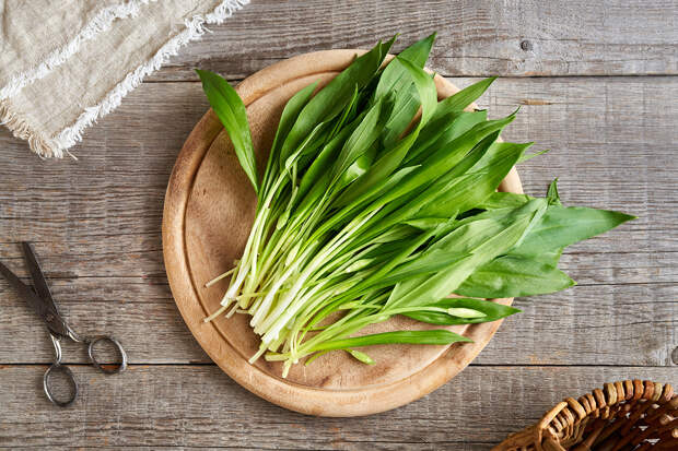 Россиянам назвали считающийся природным антибиотиком продукт