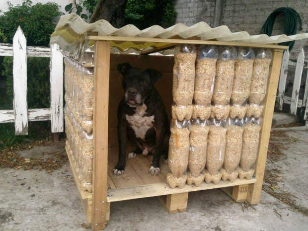 Будка из бутылок. | Фото: Pinterest. Будка из бутылок. | Фото: Pinterest.