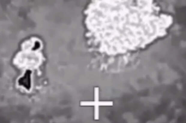 Не успели сбежать: под Харьковом уничтожили отряд Буданова