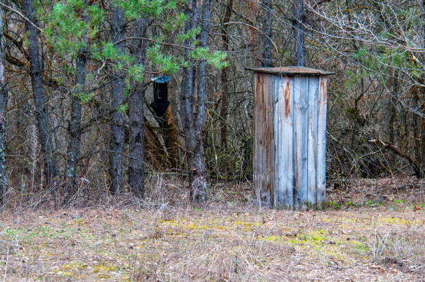 Россиян предупредили о наказании за туалет на дачном участке