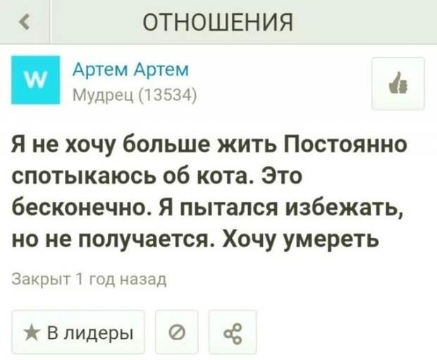 www.vsyako.net