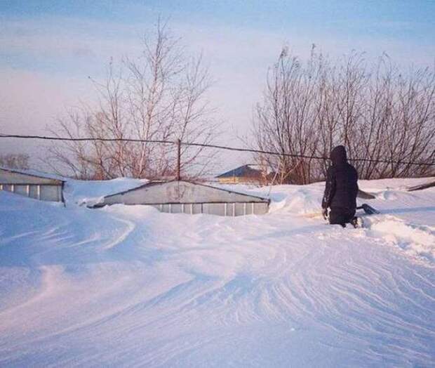 Веселые картинки и фото приколы для улыбок (11 фото) Веселые картинки и фото приколы для улыбок (11 фото)