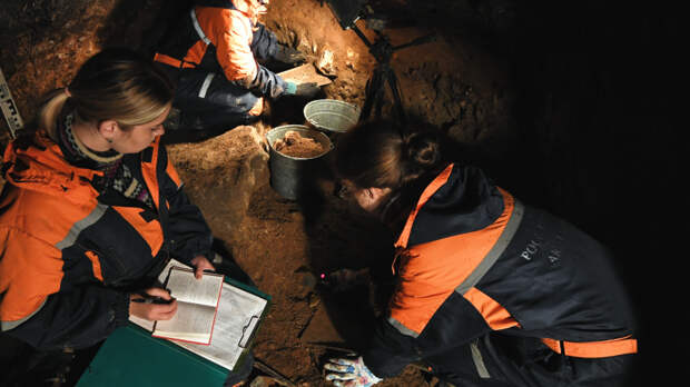 Найден «недостающий элемент»: эволюция человека предстала в новом свете