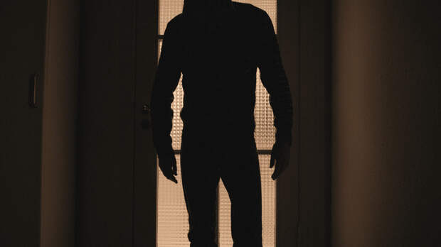 РИА Новости: подозреваемый в похищении девочки в Смоленске даёт показания