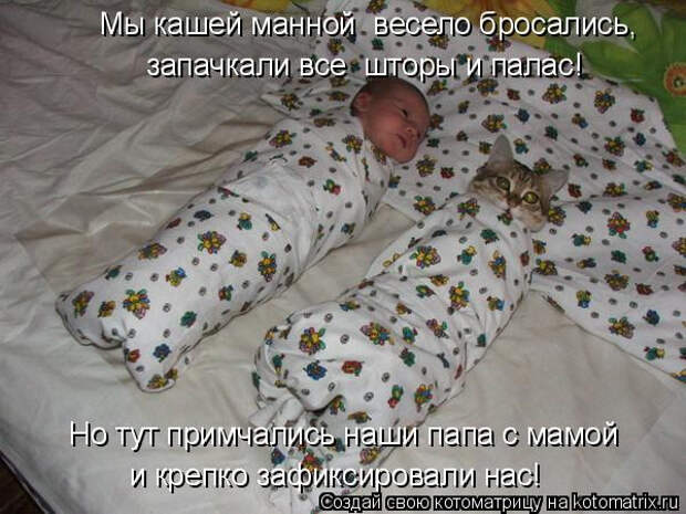 kotomatritsa_h (1) (600x450, 194Kb)