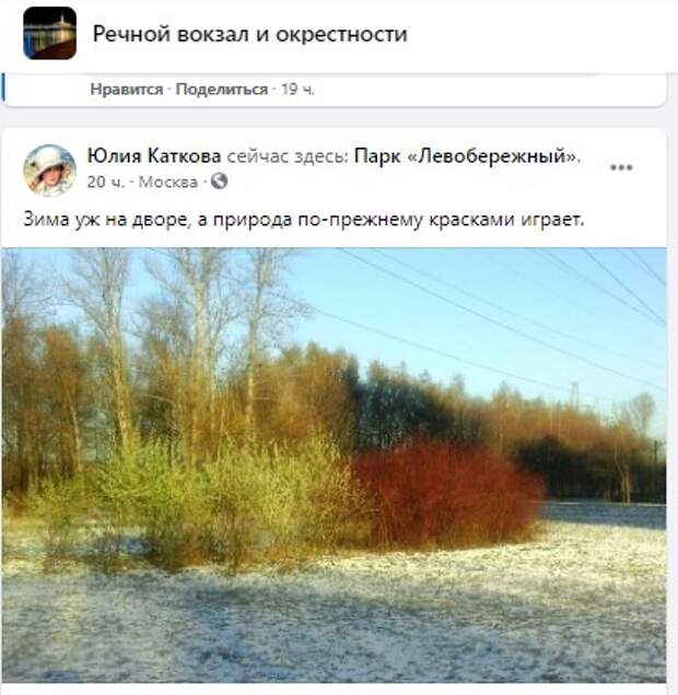 Фото дня: краски Левитана в парке «Левобережный»