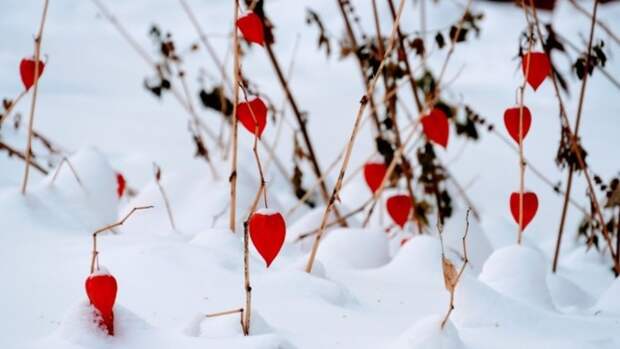 До -12. О погоде в Барнауле 20 февраля