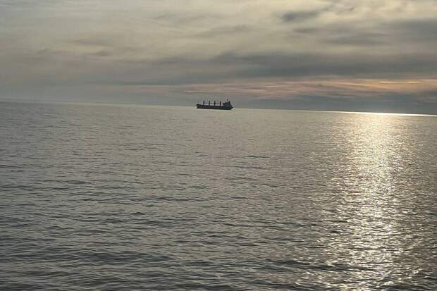 «Сторожевой»: как подавили мятеж замполита в советском флоте