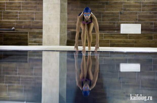 Приколы (55 фото)