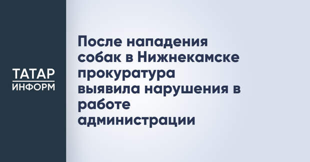 После нападения собак в Нижнекамске прокуратура выявила нарушения в работе администрации
