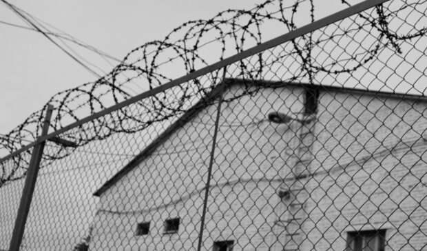 Силовики поставили точку в истории побега преступника-гиганта из колонии в Приморье