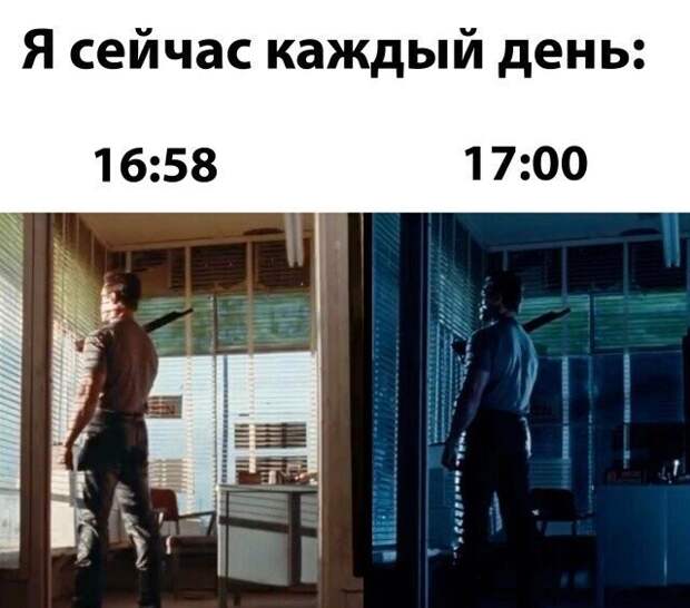 45 смешных фото для тех, кто внезапно загрустил
