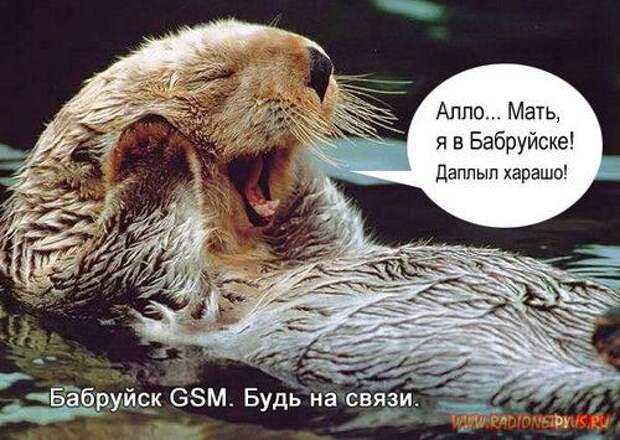 Улыбнись! :) (22фото)
