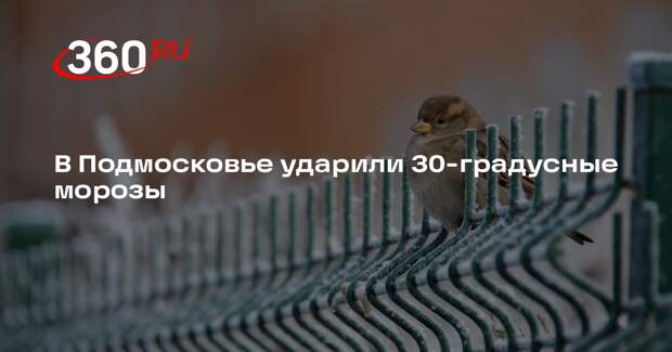 Синоптик Леус: минувшая ночь в Подмосковье стала самой холодной с начала зимы