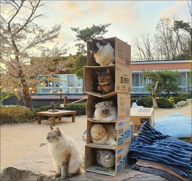 фотоприколы