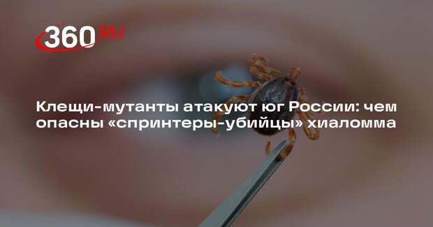 Биолог Сафонов назвал главные опасности клещей-мутантов хиаломма