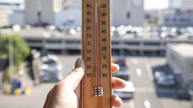 «Ужасающее исследование»: сколько людей умрет к 2050 году из-за жары