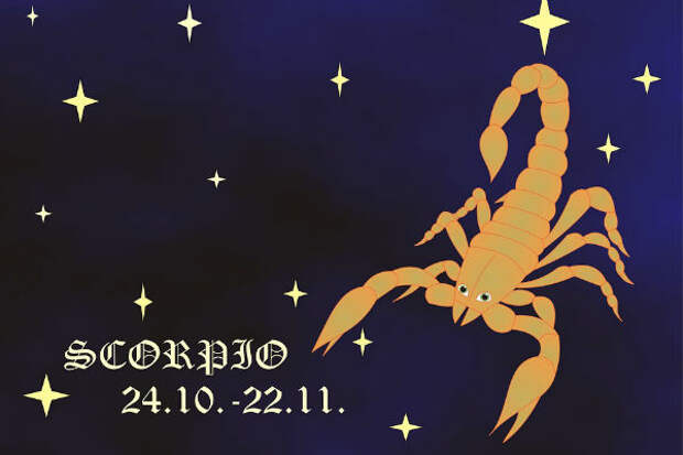 Скорпион Скорпион