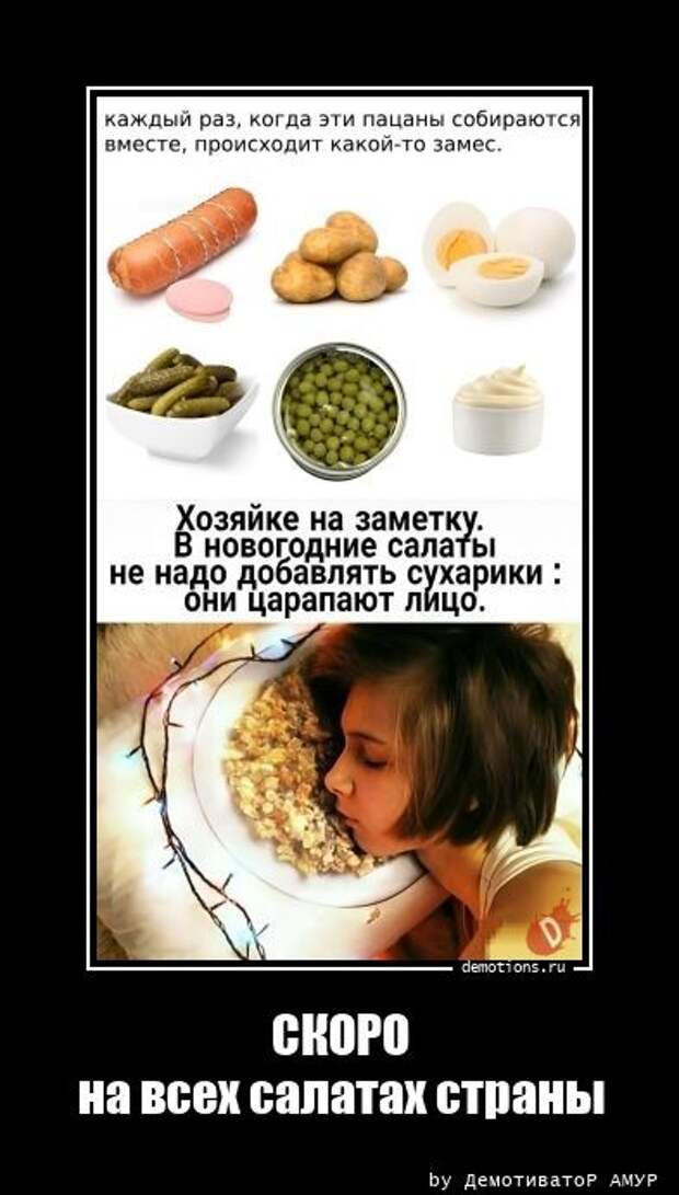 Прикольных демотиваторов коллекция (14 шт)