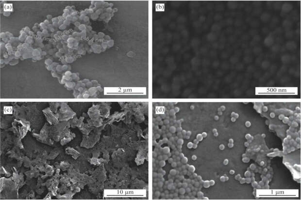 Сколтех: технология адресной доставки лекарств поможет увеличить добычу нефти