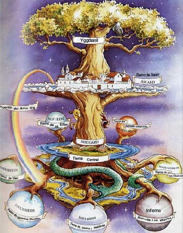 Трицентричная структура дерево Иггдрасиль./фото: liveinternet.ru