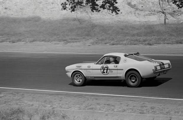 История легендарного Shelby Mustang GT350 ford, mustang, shelby