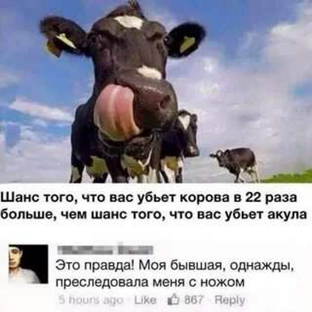 Смешные комментарии. Подборка chert-poberi-chert-poberi-17120609042020-14 картинка chert-poberi-17120609042020-14