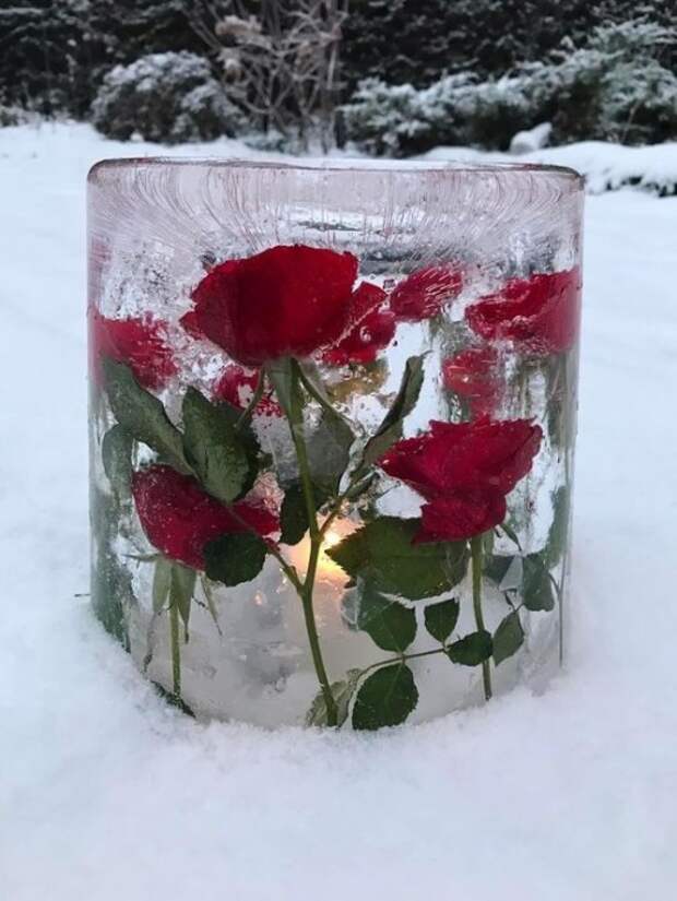 Цветы во льду Цветы во льду