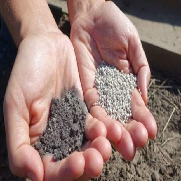 Осенняя перекопка: что нужно знать, чтобы получить богатый урожай на будущий год