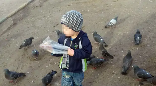 «Признал, что ребёнок не употреблял алкоголь»: представитель семьи «пьяного» мальчика сообщила об ошибке судмедэксперта